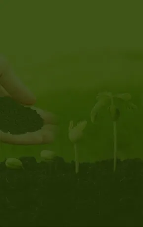KGM Fertilizers & Agrotech Pvt. Ltd., Granule Form PROM Natural Organic Fertilizers, Manures, Potash, Natural Organic Manures, Granule Form Pdm Potash Natural Organic Fertilizers, Neem Powder Natural Organic Fertilizers For Agriculture