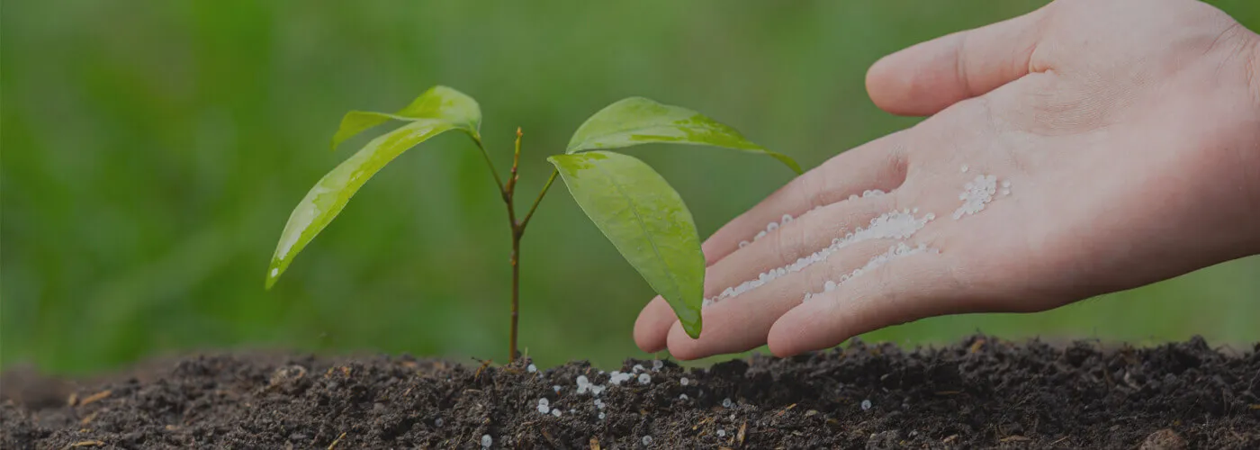 Farmer strength and integrated nutrient management