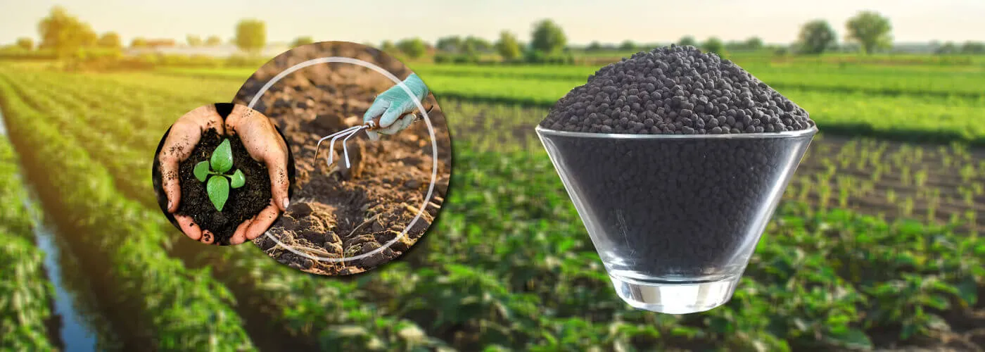 Organic fertilizers